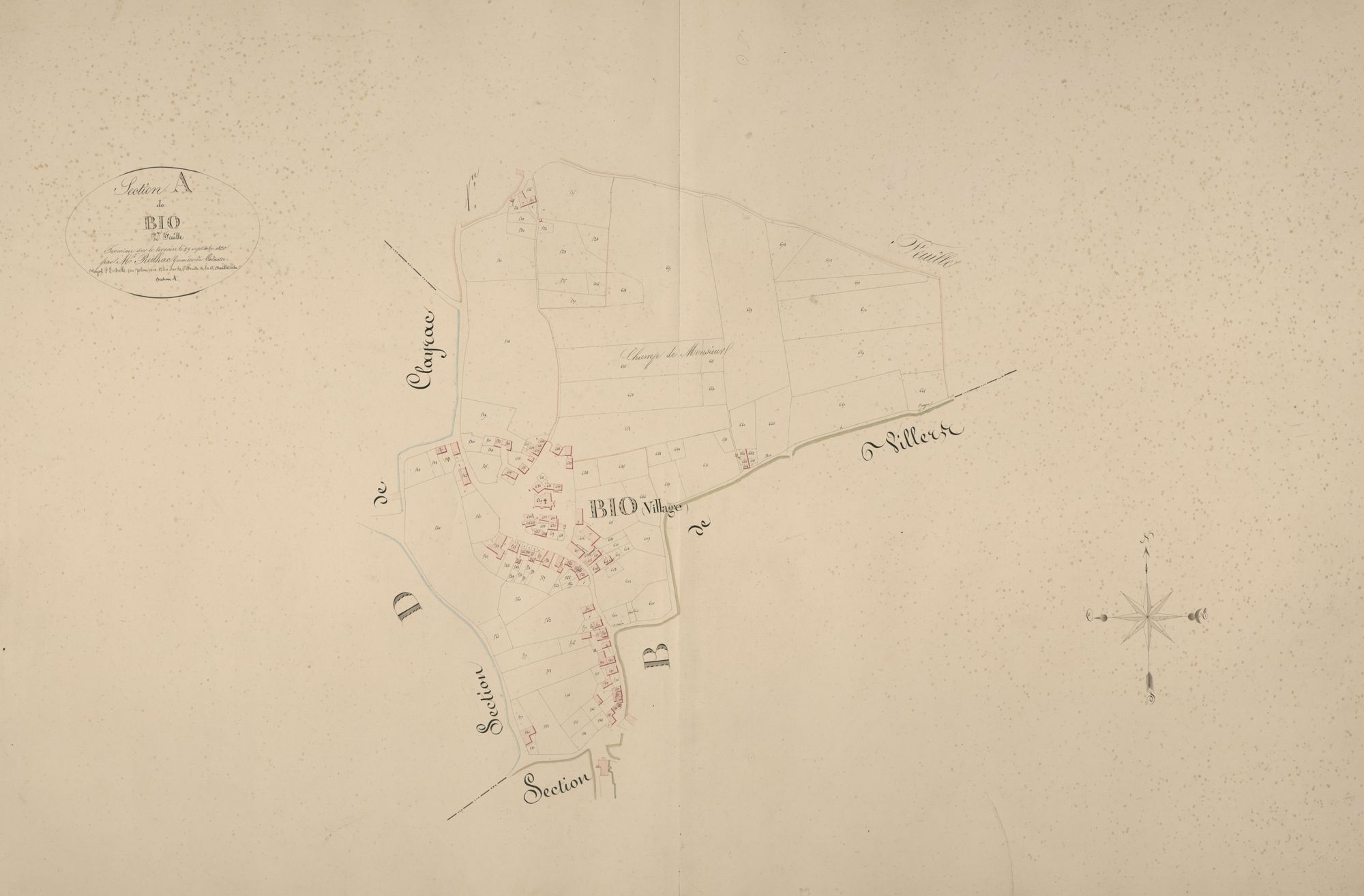 section A de Bio, 2ème feuille