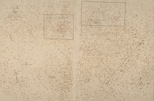 section A de Bio, 3ème feuille