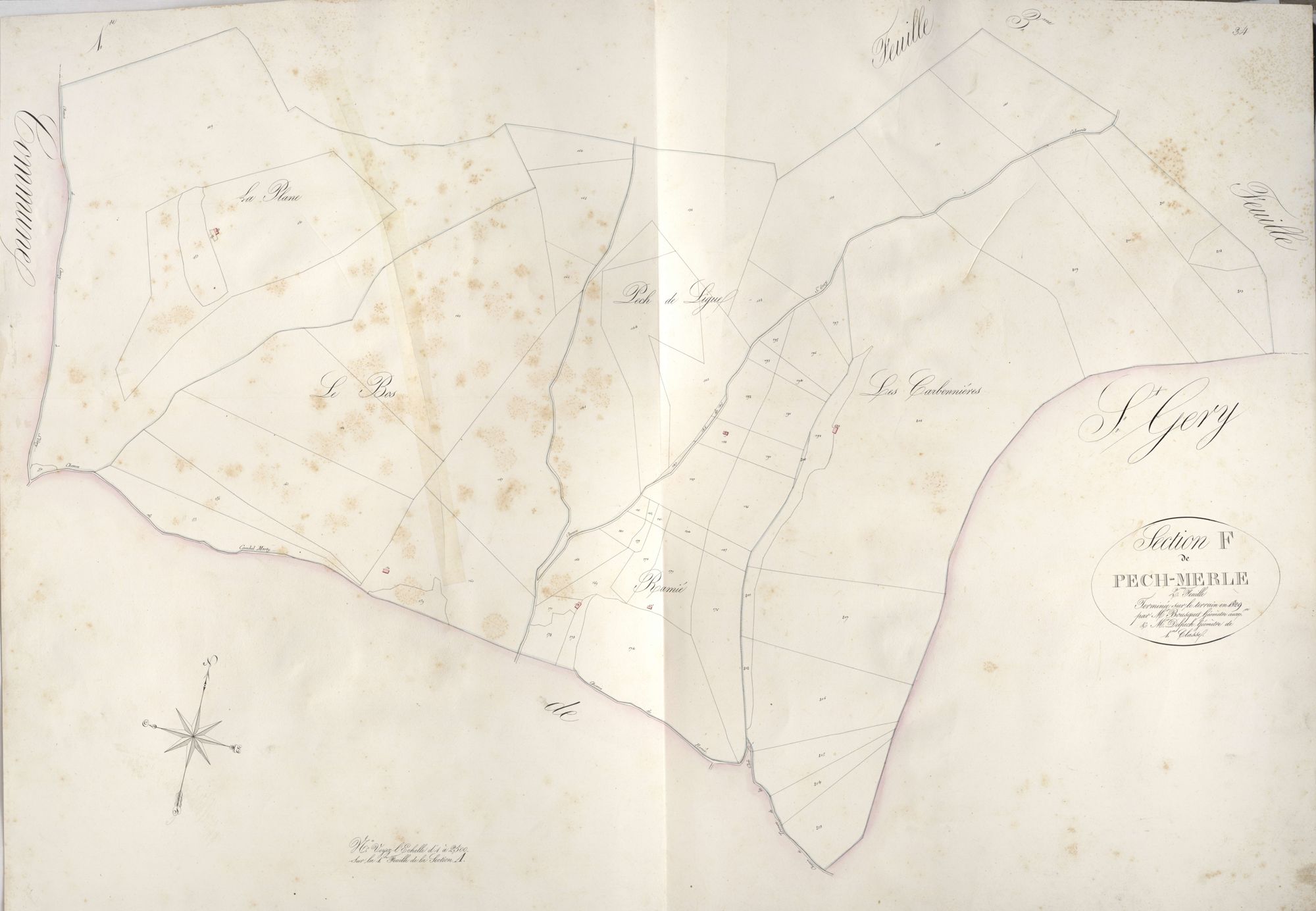 section F de Pech-Merle, 2ème feuille
