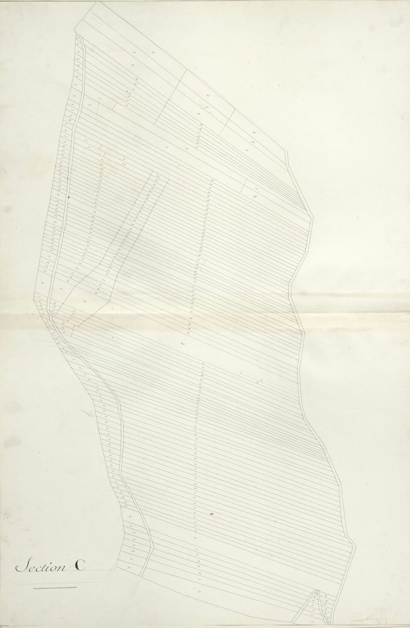 section C, 1ère feuille, développement