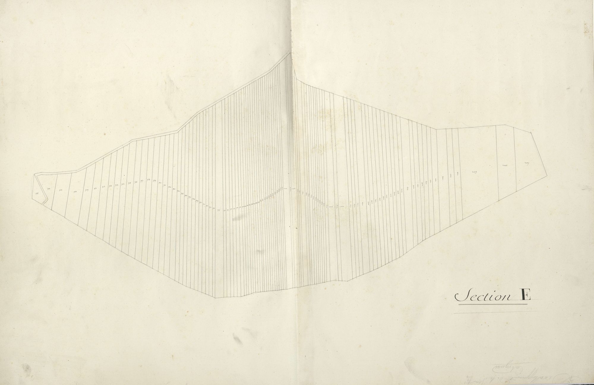section E, 2ème feuille, développement