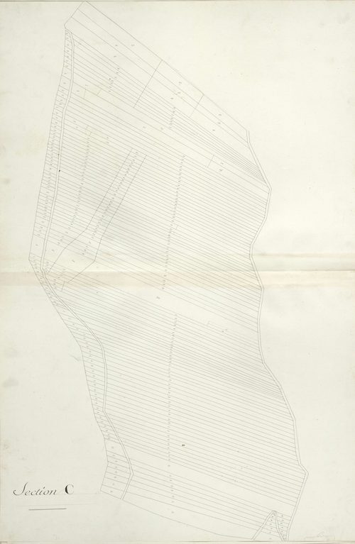 section C, 1ère feuille, développement