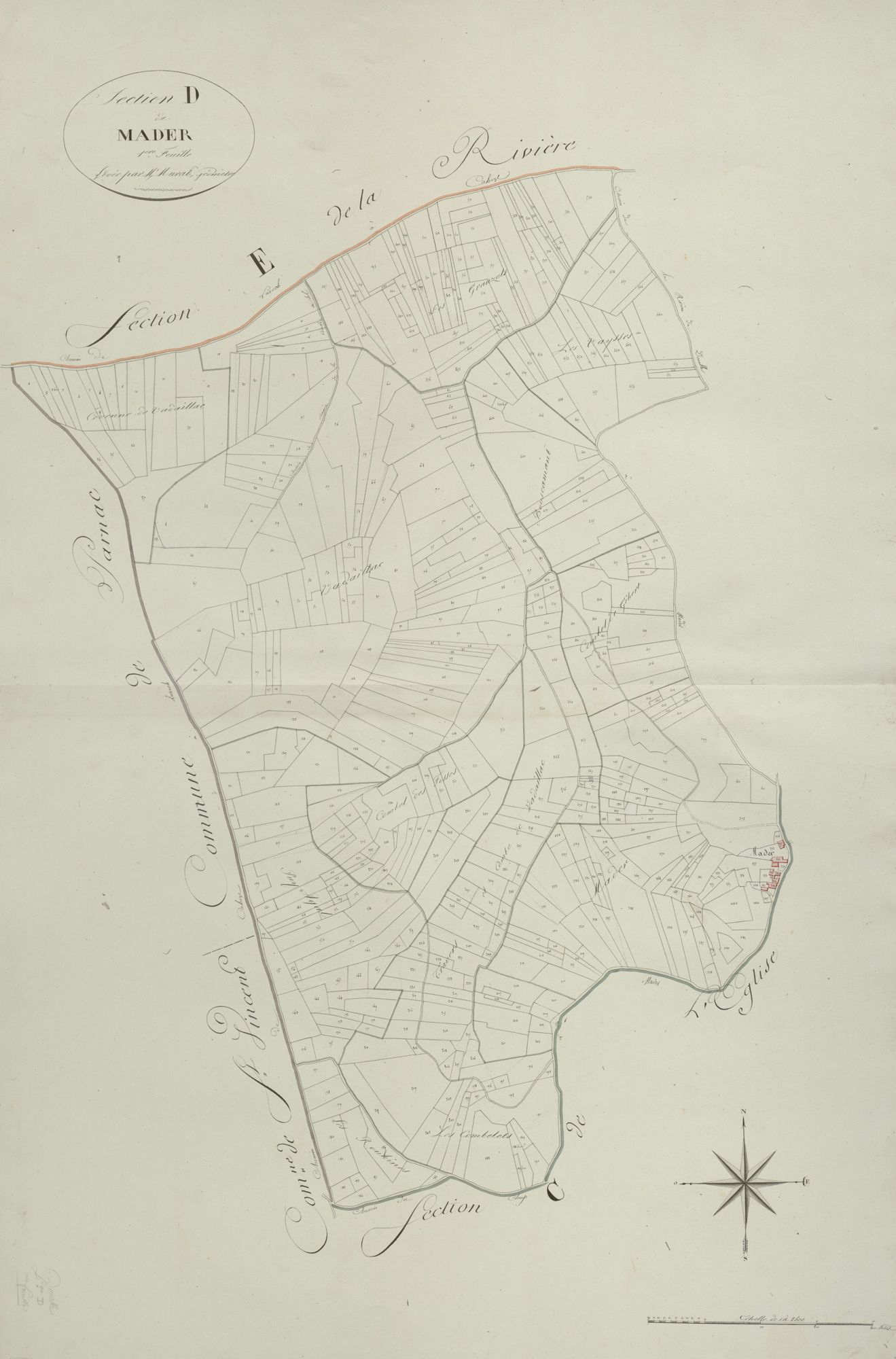 section D de Mader, 1ère feuille
