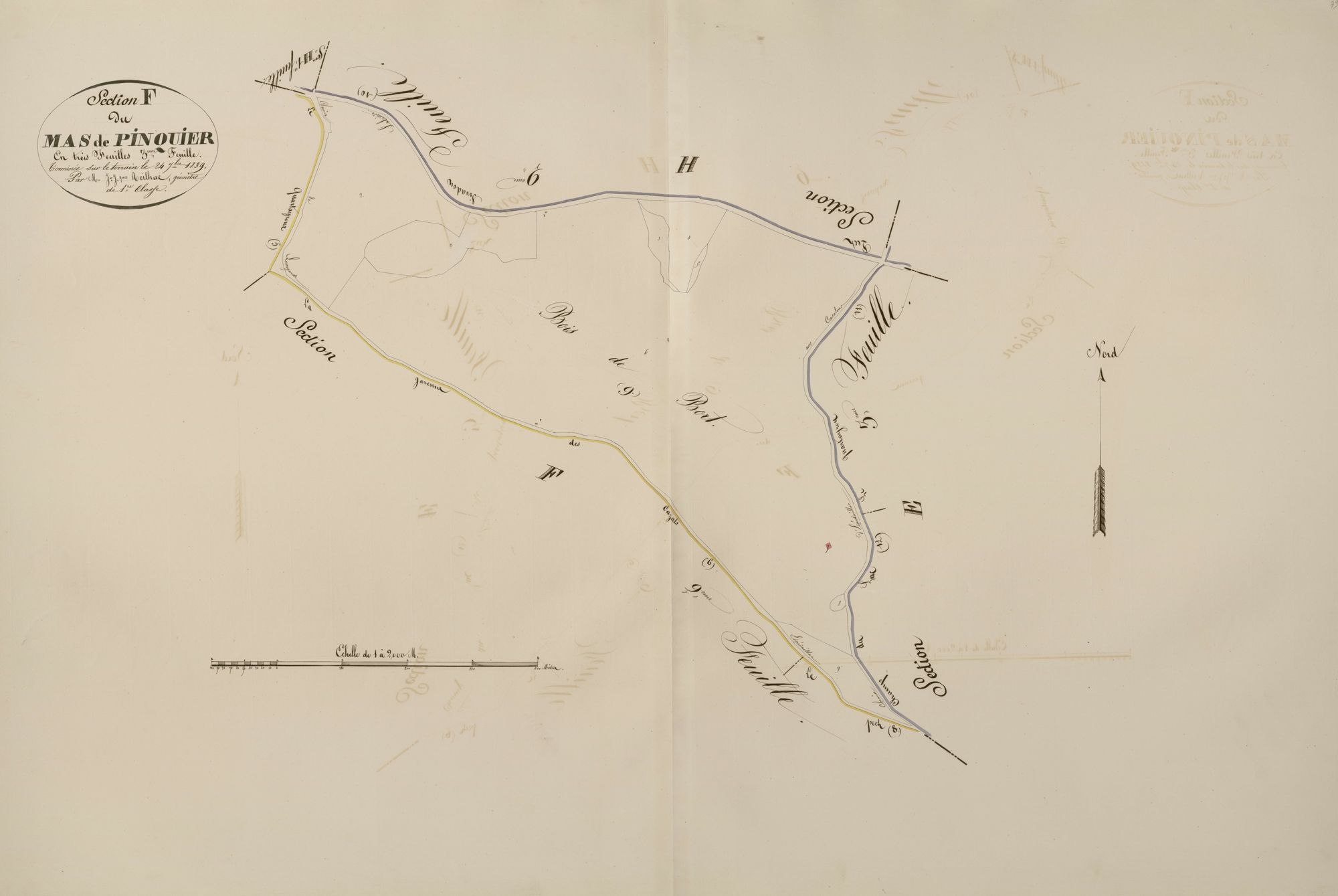 section F du Mas de Pinquier, 3ème feuille