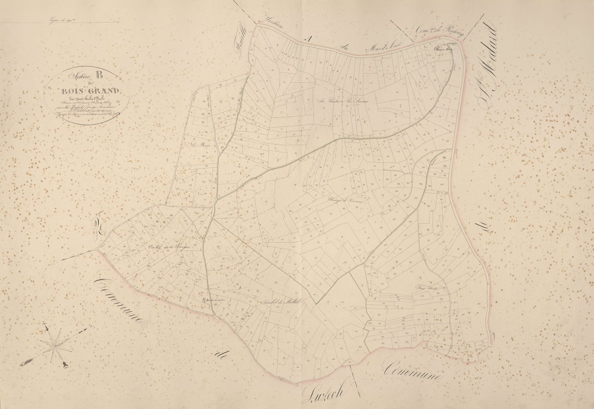section B du Bois Grand, 1ère feuille