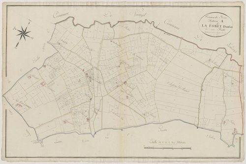 Plan primitif, atlas-A La Forêt dambas, Birac-sur-Trec