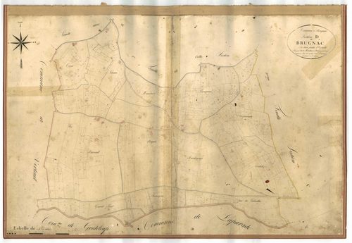 Plan napoléonien-D2 Cambes, Brugnac