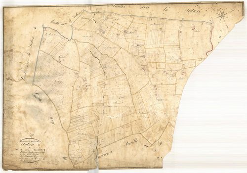 Plan napoléonien, feuille préparatoire-D1 Bois-de-Jeanot, Caudecoste