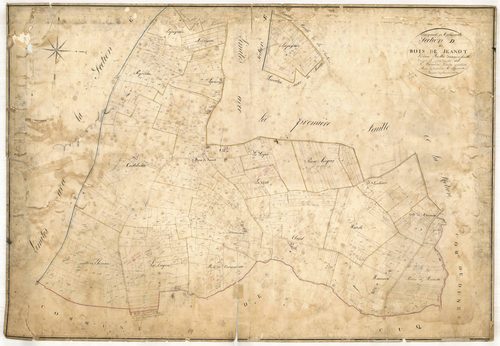 Plan napoléonien, feuille préparatoire-D2 Bois-de-Jeanot, Caudecoste