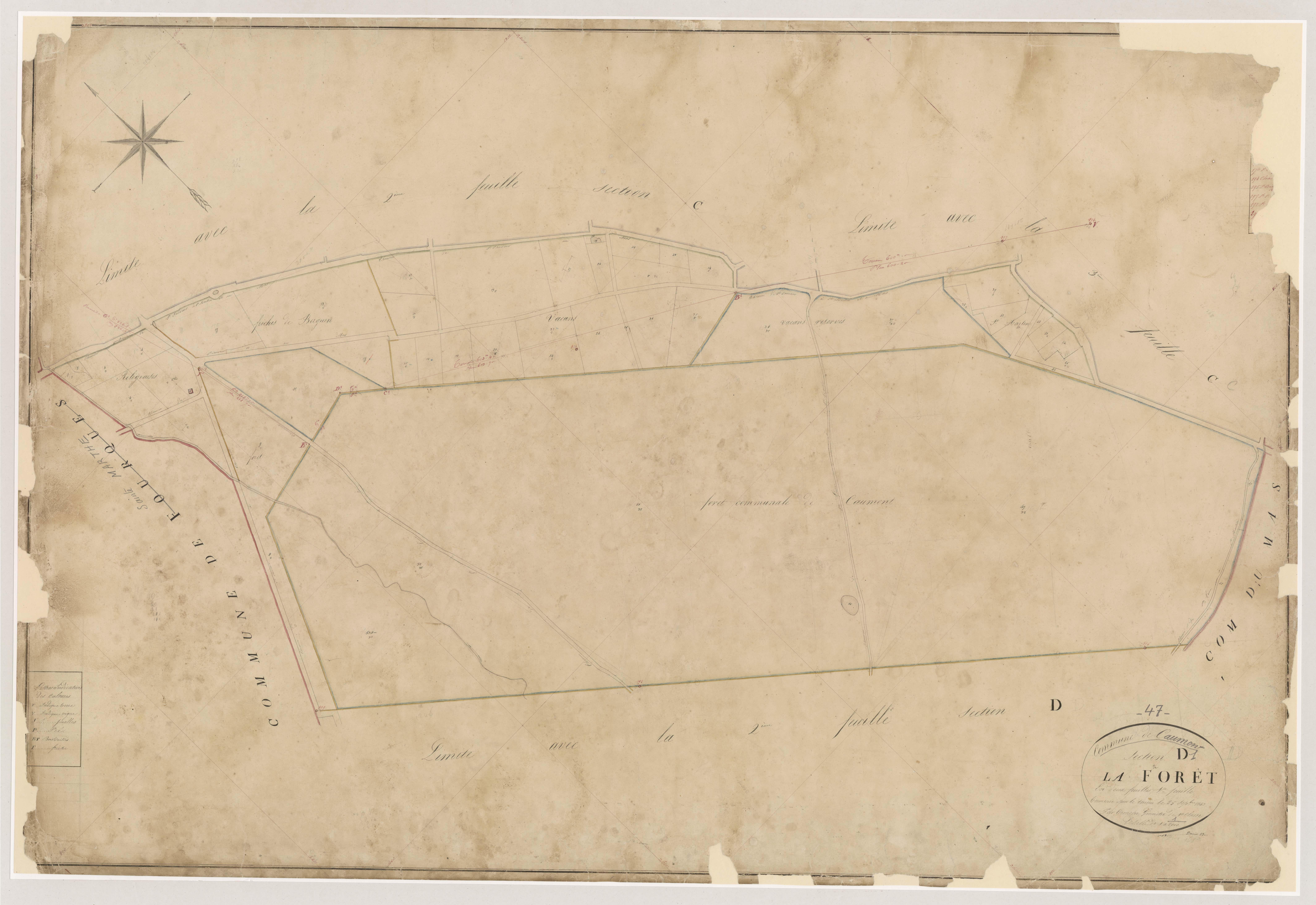 Plan napoléonien, atlas-D1 La Forêt, Caumont-sur-Garonne