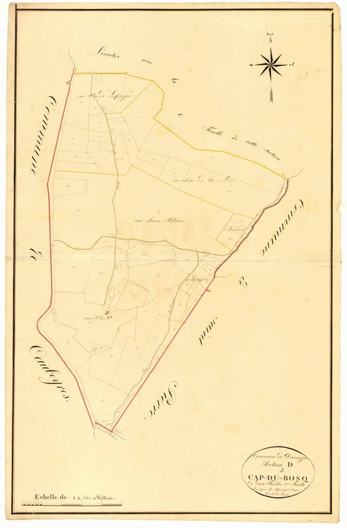 Plan napoléonien, atlas-D2 Cap du Bosq, Damazan