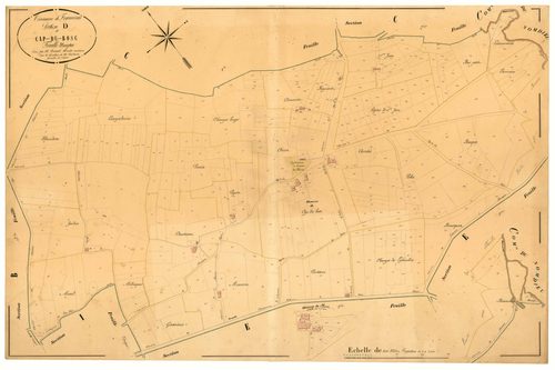 Plan napoléonien, atlas-D Cap-du-Bosc, Francescas