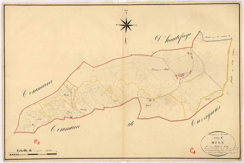 Plan napoléonien, atlas-C1 Mils, Frespech