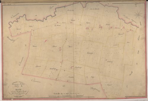 Plan napoléonien-A1 Ricaud, Gontaud-de-Nogaret