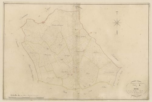 Plan napoléonien-A1 Le Bourg, Hautesvignes