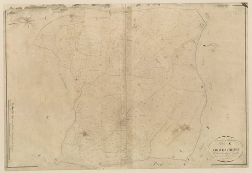 Plan napoléonien-C1 Grillères et Mistoux, Hautesvignes