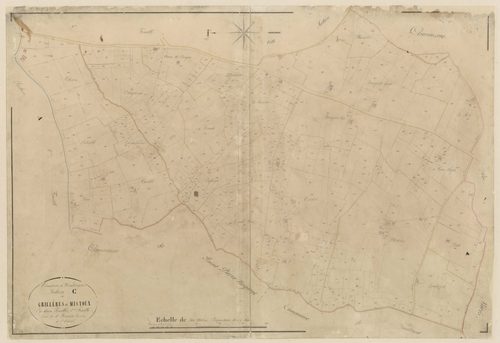 Plan napoléonien-C2 Grillères et Mistoux, Hautesvignes