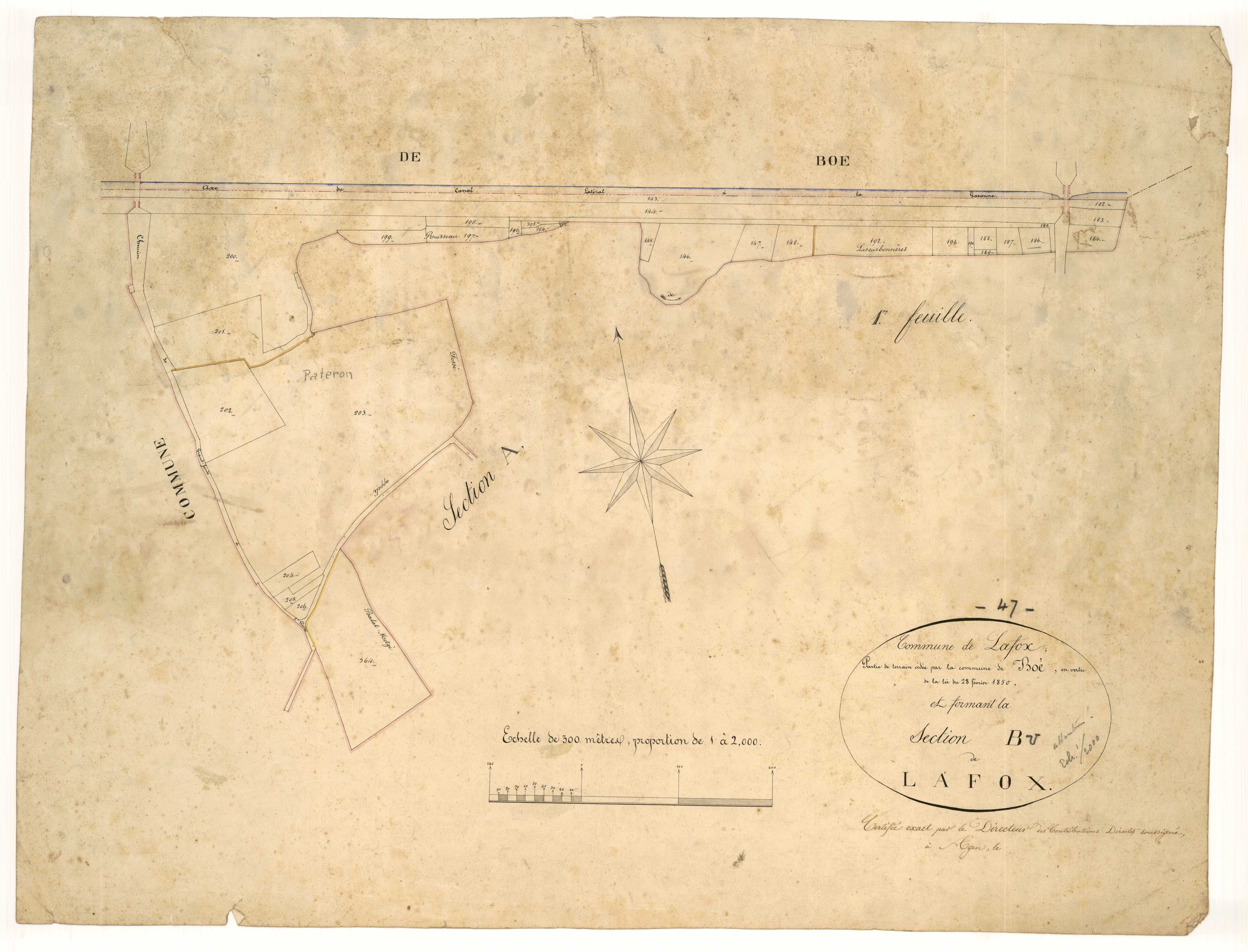 Plan napoléonien, feuille préparatoire-B Lafox, Lafox
