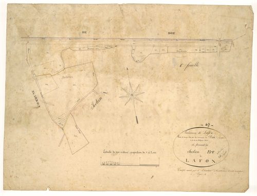 Plan napoléonien, feuille préparatoire-B Lafox, Lafox