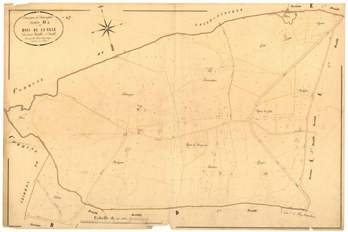 Plan napoléonien, atlas-D1 Bois de la ville, Lamontjoie