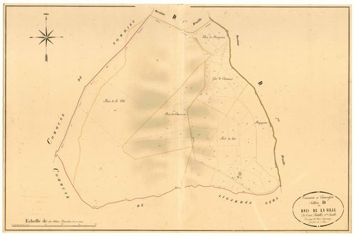 Plan napoléonien, atlas-D3 Bois de la ville, Lamontjoie