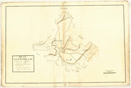 Plan primitif, atlas-TA, Laplume