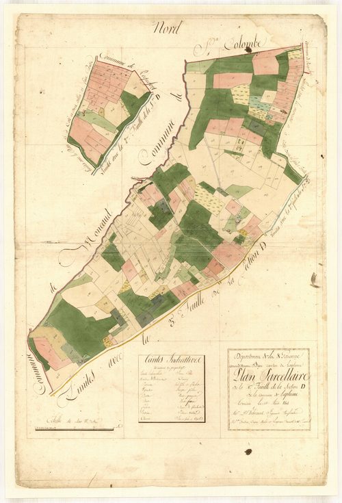 Plan primitif, feuille-D1, Laplume
