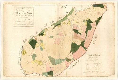 Plan primitif, feuille-D4, Laplume