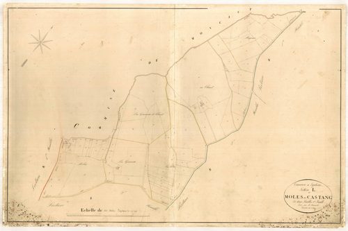 Plan napoléonien-L1 Moles et Castan, Laplume