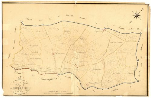 Plan napoléonien, atlas-F2 Pechbales, Laroque-Timbaut