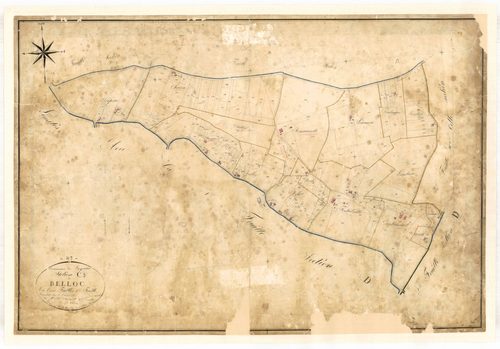 Plan napoléonien-C3 Belloc, Layrac