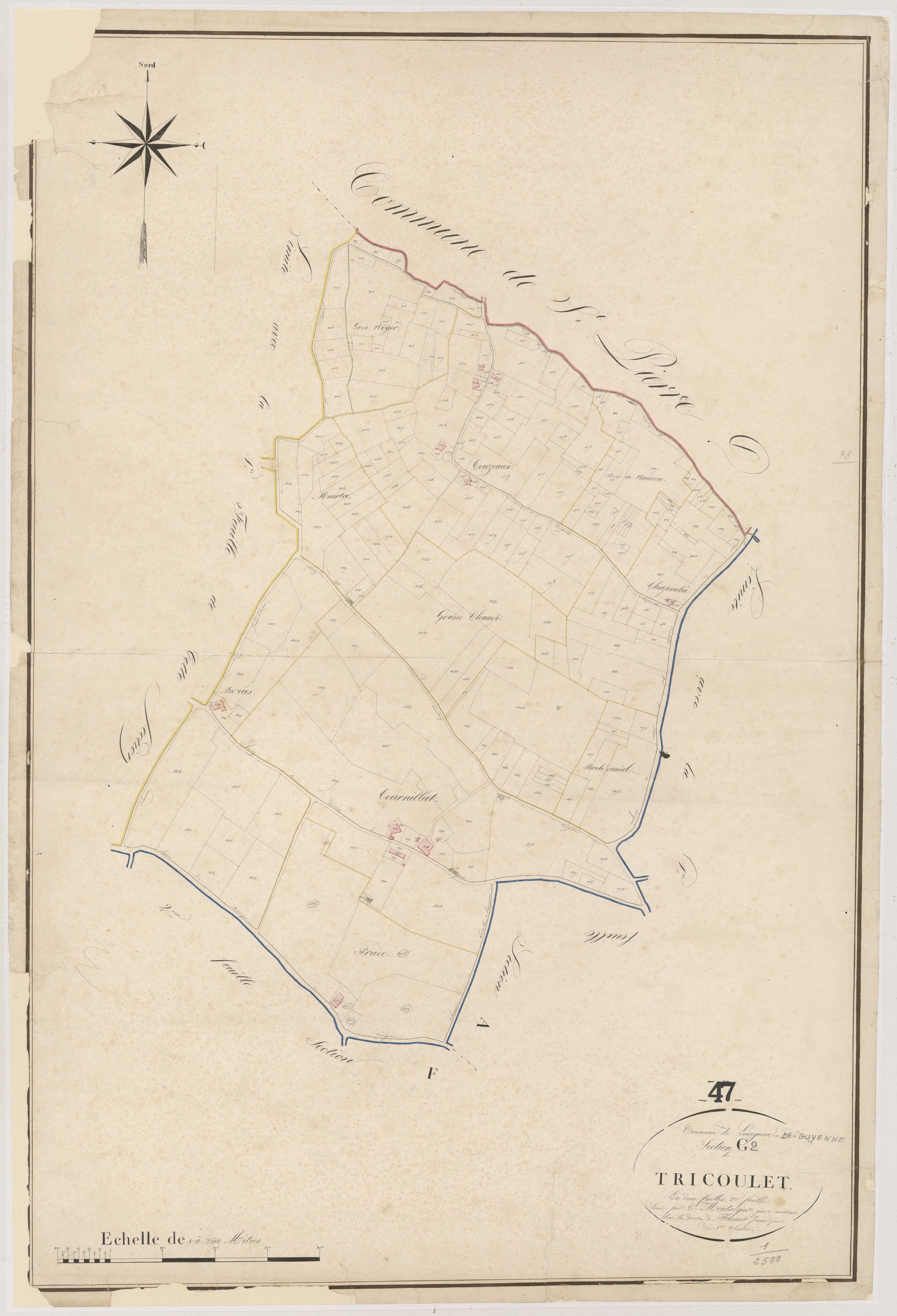 Plan napoléonien, atlas-G2 Tricoulet, Lévignac-de-Guyenne