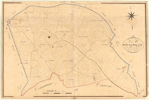 Plan napoléonien, atlas-C Bois de la Brette, Lougratte