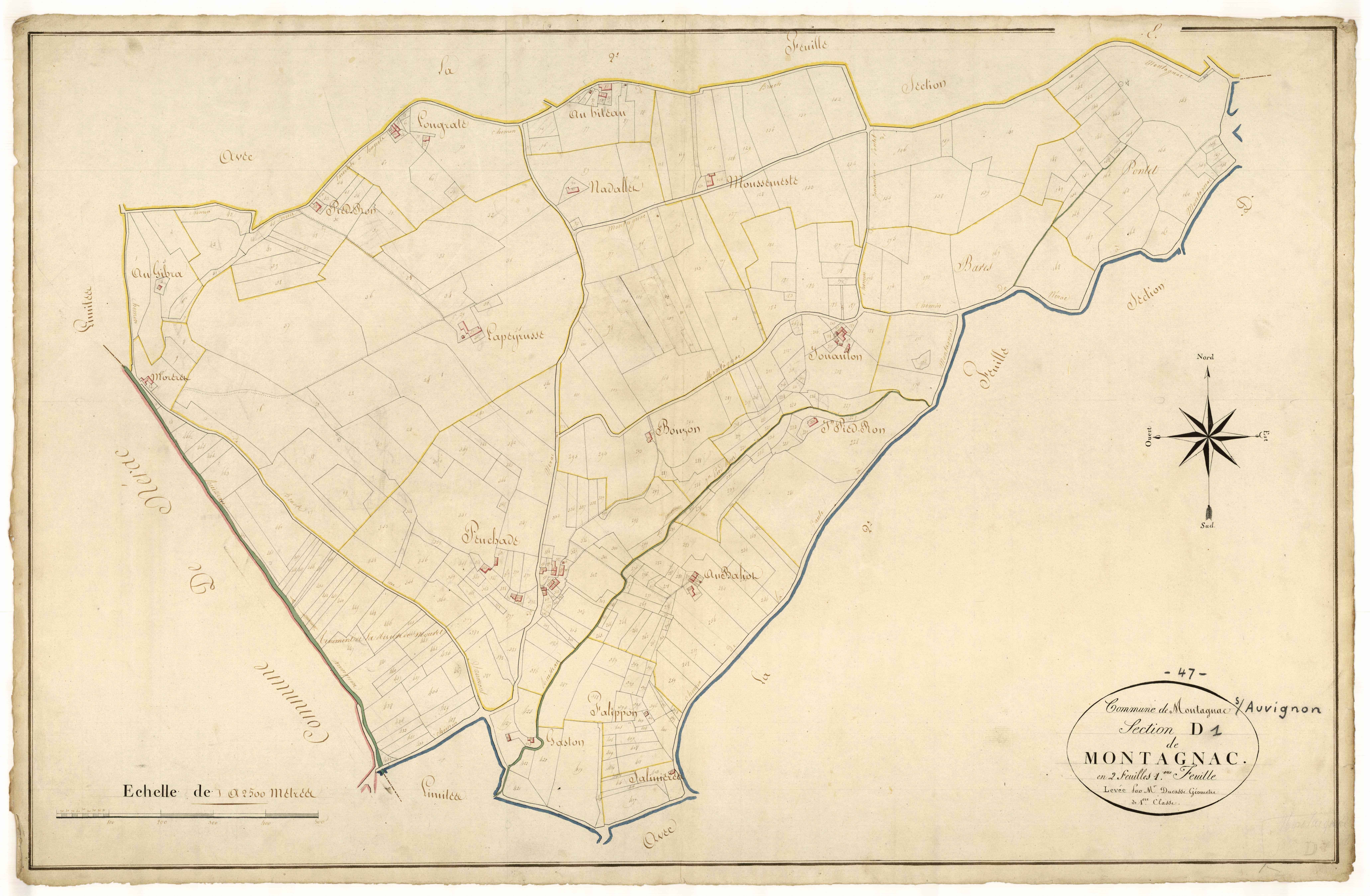 Plan napoléonien, atlas-D1 Montagnac, Montagnac-sur-Auvignon