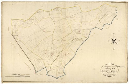 Plan napoléonien, atlas-D1 Montagnac, Montagnac-sur-Auvignon