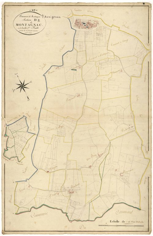 Plan napoléonien, atlas-D2 Montagnac, Montagnac-sur-Auvignon