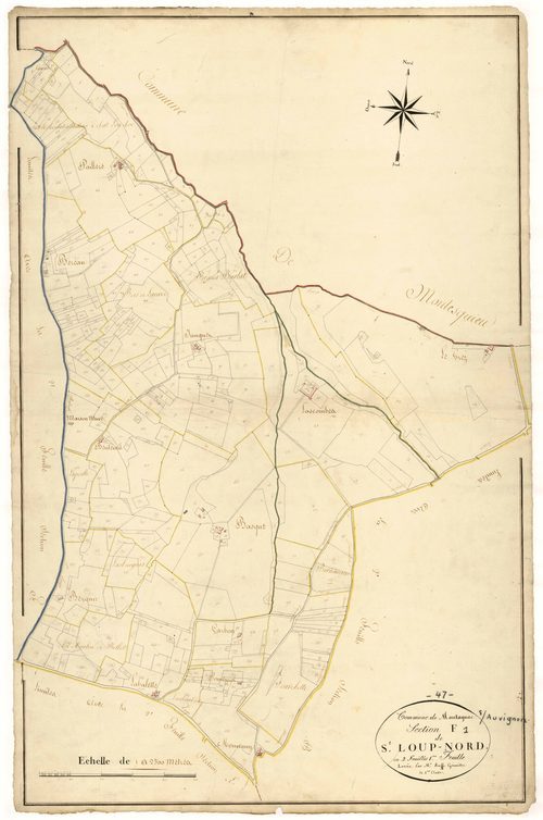 Plan napoléonien, atlas-F1 Saint-Loup-Nord, Montagnac-sur-Auvignon
