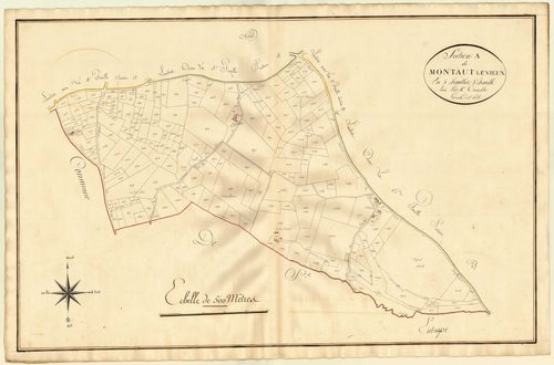 Plan primitif, atlas-A5 Montaut-le-Vieux, Montaut