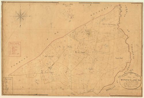 Plan napoléonien, feuille préparatoire-A1 Montaut-le-Jeune, Montaut