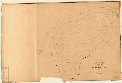 Plan napoléonien, feuille préparatoire-E3 Montaut-le-Vieux, Montaut