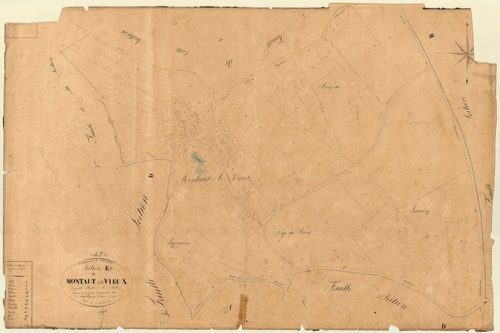Plan napoléonien, feuille préparatoire-E4 Montaut-le-Vieux, Montaut