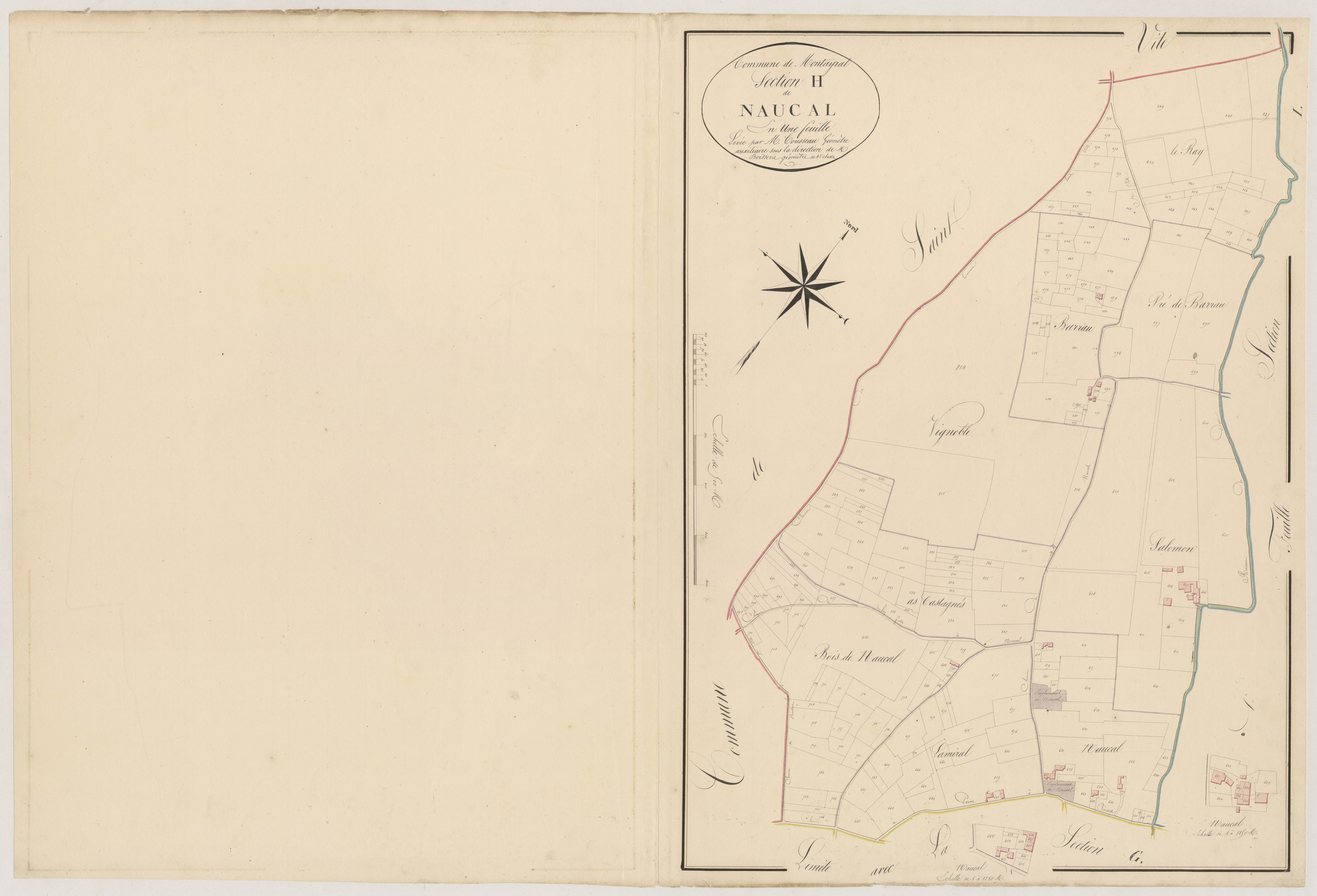 Plan napoléonien, atlas-H Naucal, Montayral