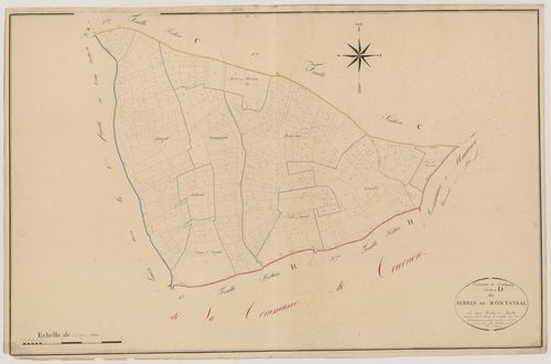 Plan napoléonien, atlas-D2 Serres de Montayral, Montayral