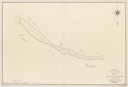 Plan napoléonien, atlas-F Prairies de Dor, Montayral