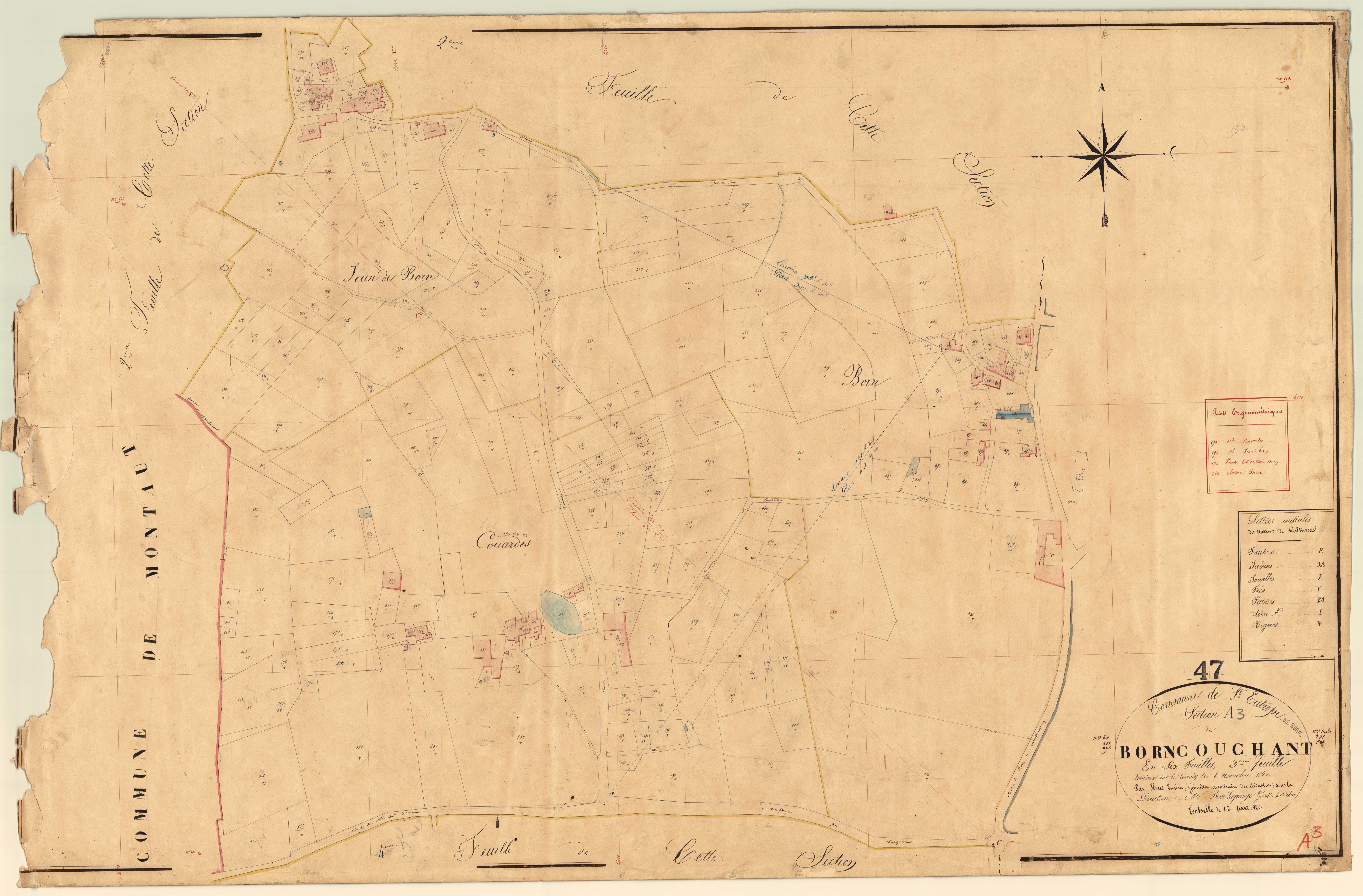 Plan napoléonien, feuille préparatoire-A3 Born couchant, Saint-Eutrope-de-Born