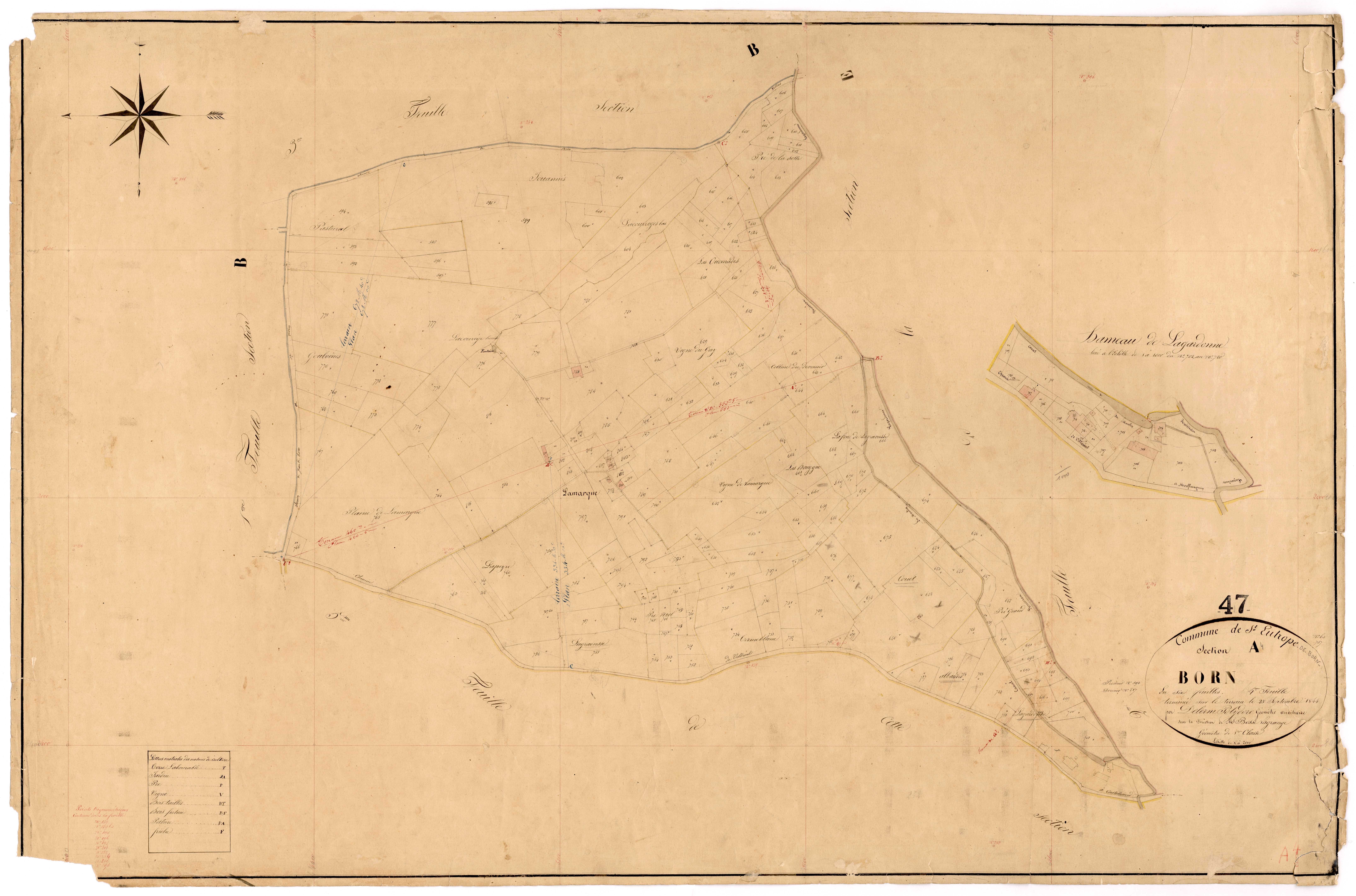 Plan napoléonien, feuille préparatoire-A4 Born couchant, Saint-Eutrope-de-Born