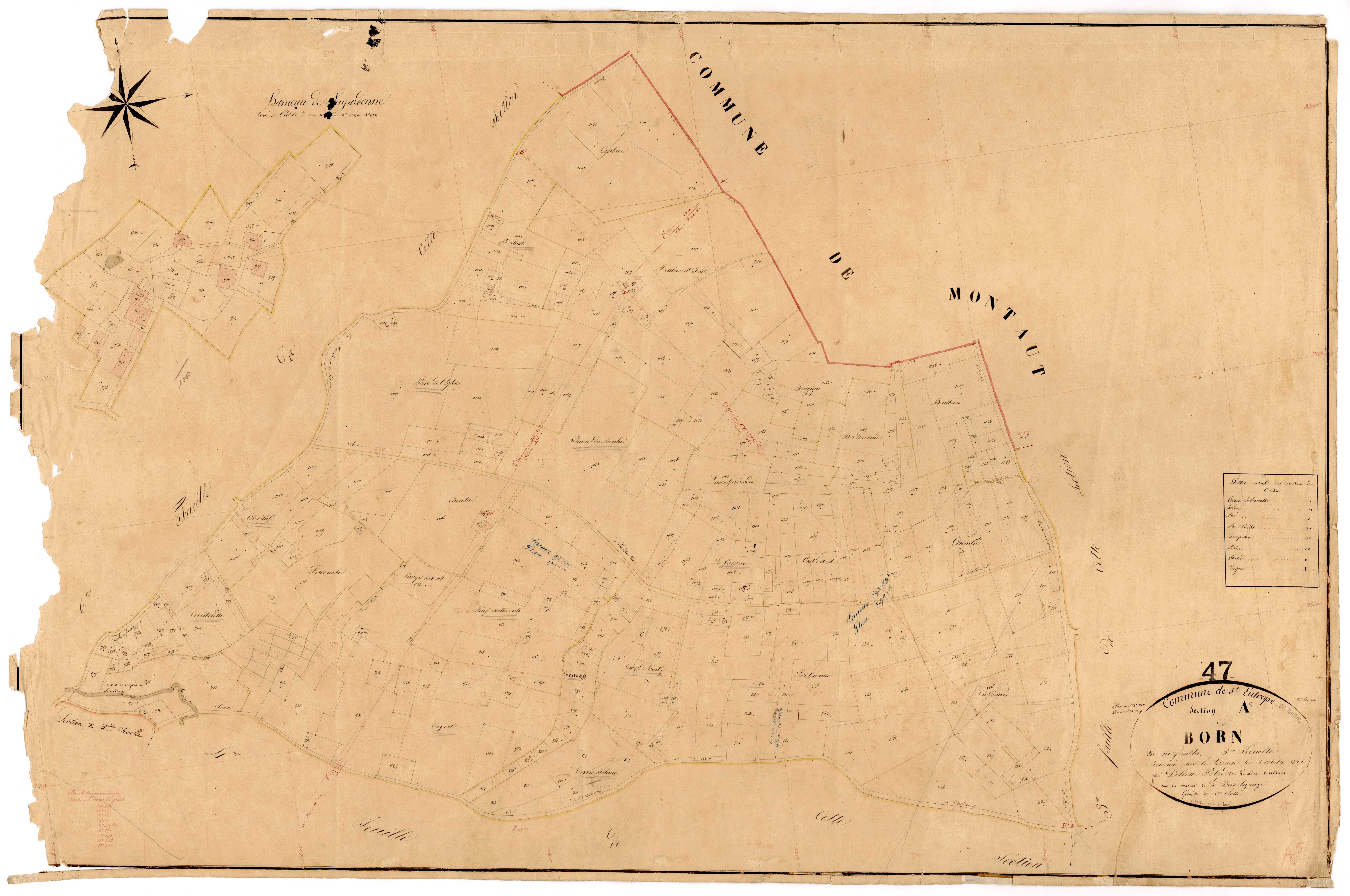 Plan napoléonien, feuille préparatoire-A5 Born couchant, Saint-Eutrope-de-Born