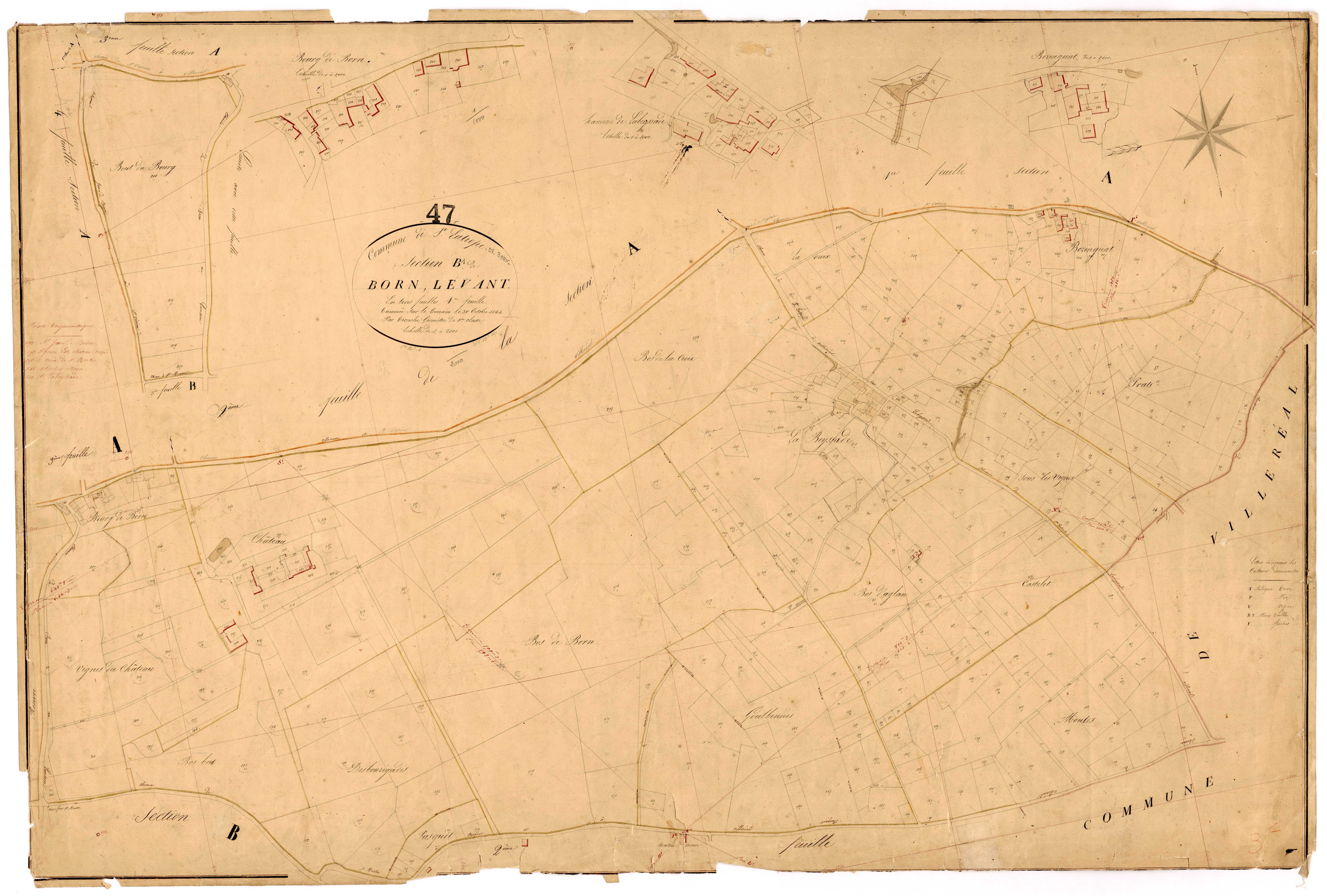 Plan napoléonien, feuille préparatoire-B1 Born levant, Saint-Eutrope-de-Born