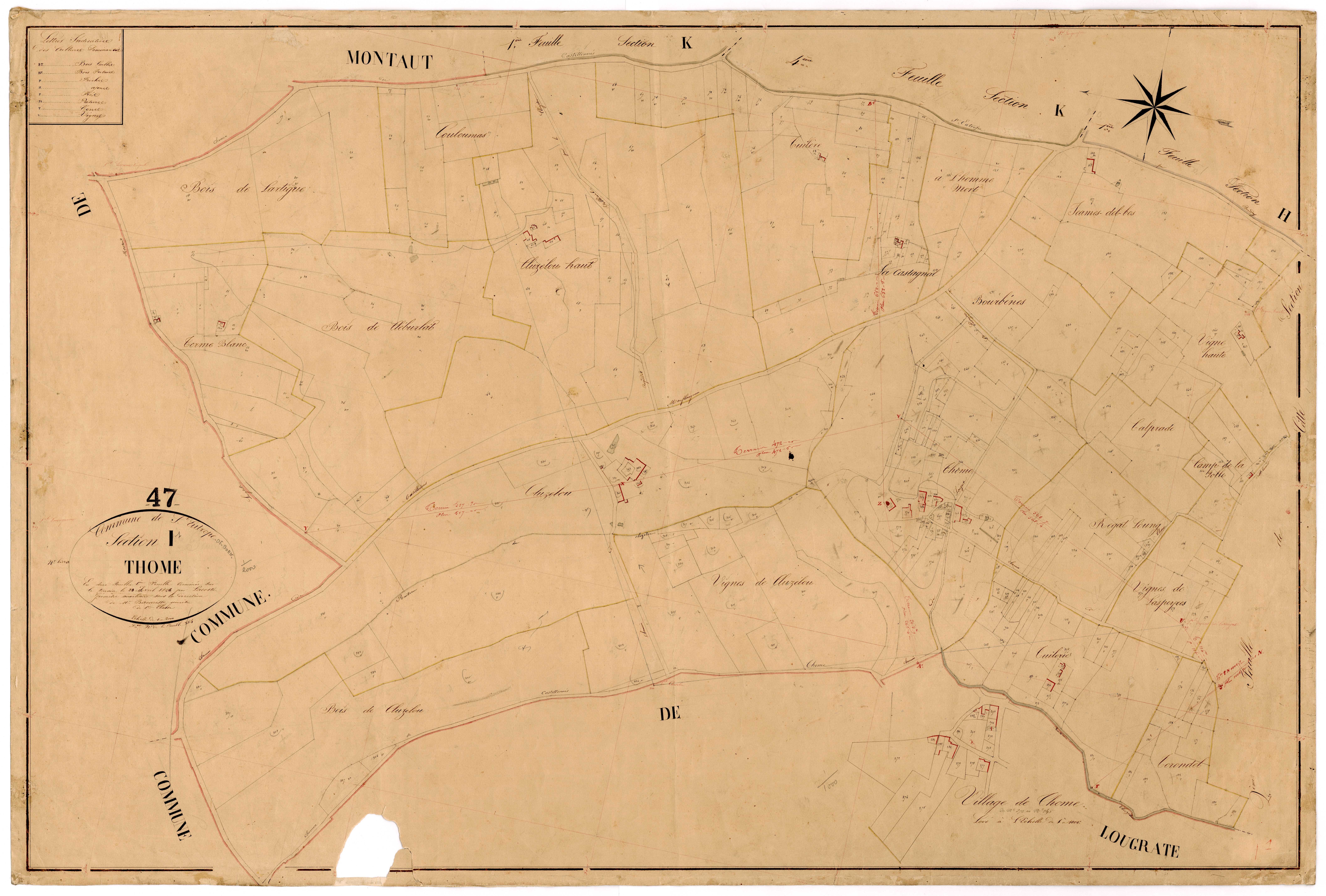 Plan napoléonien, feuille préparatoire-I1 Thome, Saint-Eutrope-de-Born