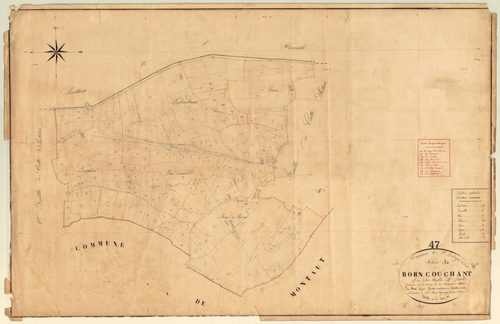 Plan napoléonien, feuille préparatoire-A2 Born couchant, Saint-Eutrope-de-Born